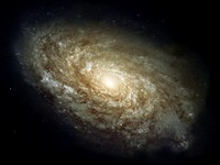 Dusty Spiral Galaxy